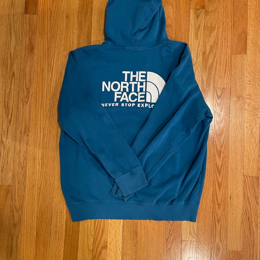 The North Face Men's Teal Hoodie Sweater